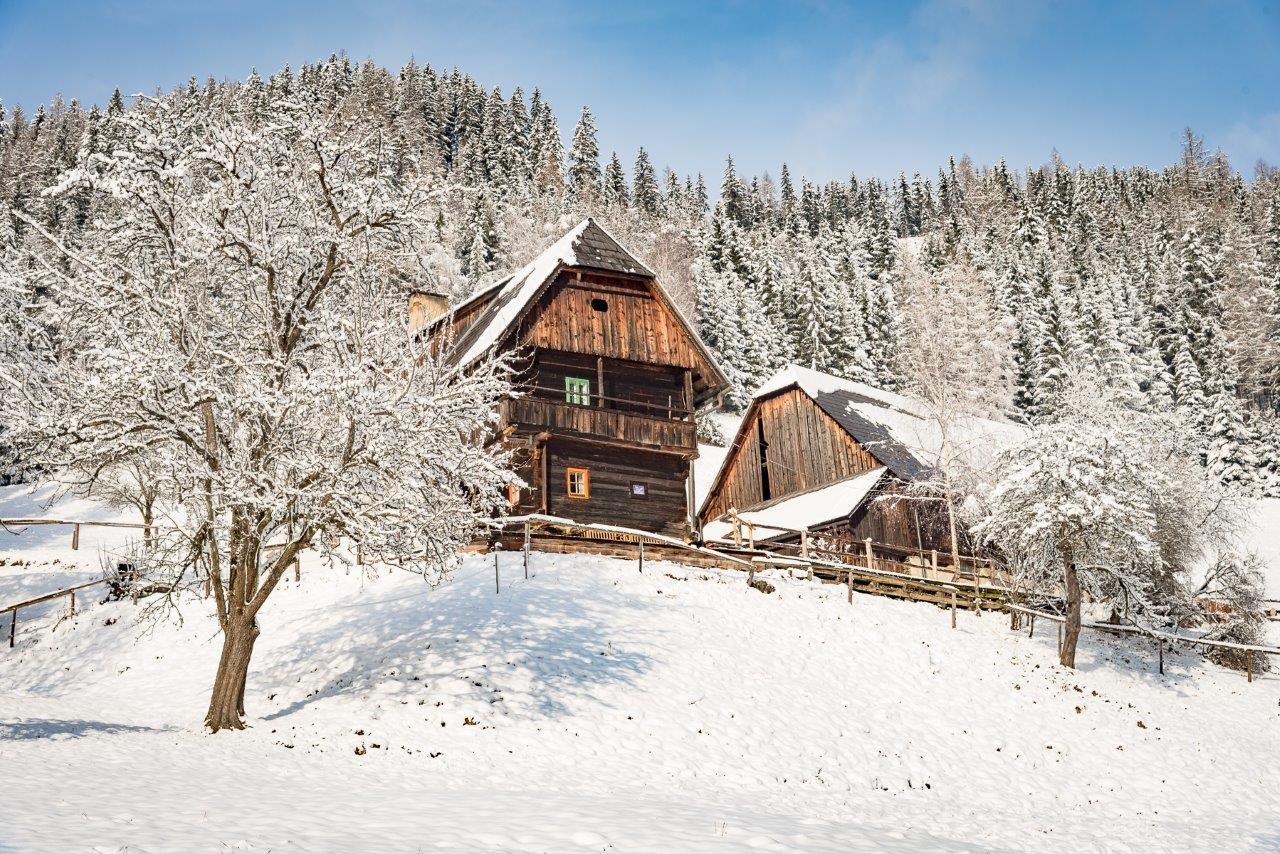 Urlaub Auf Der Alm "Deluxe" Villa Preggraben Eksteriør bilde