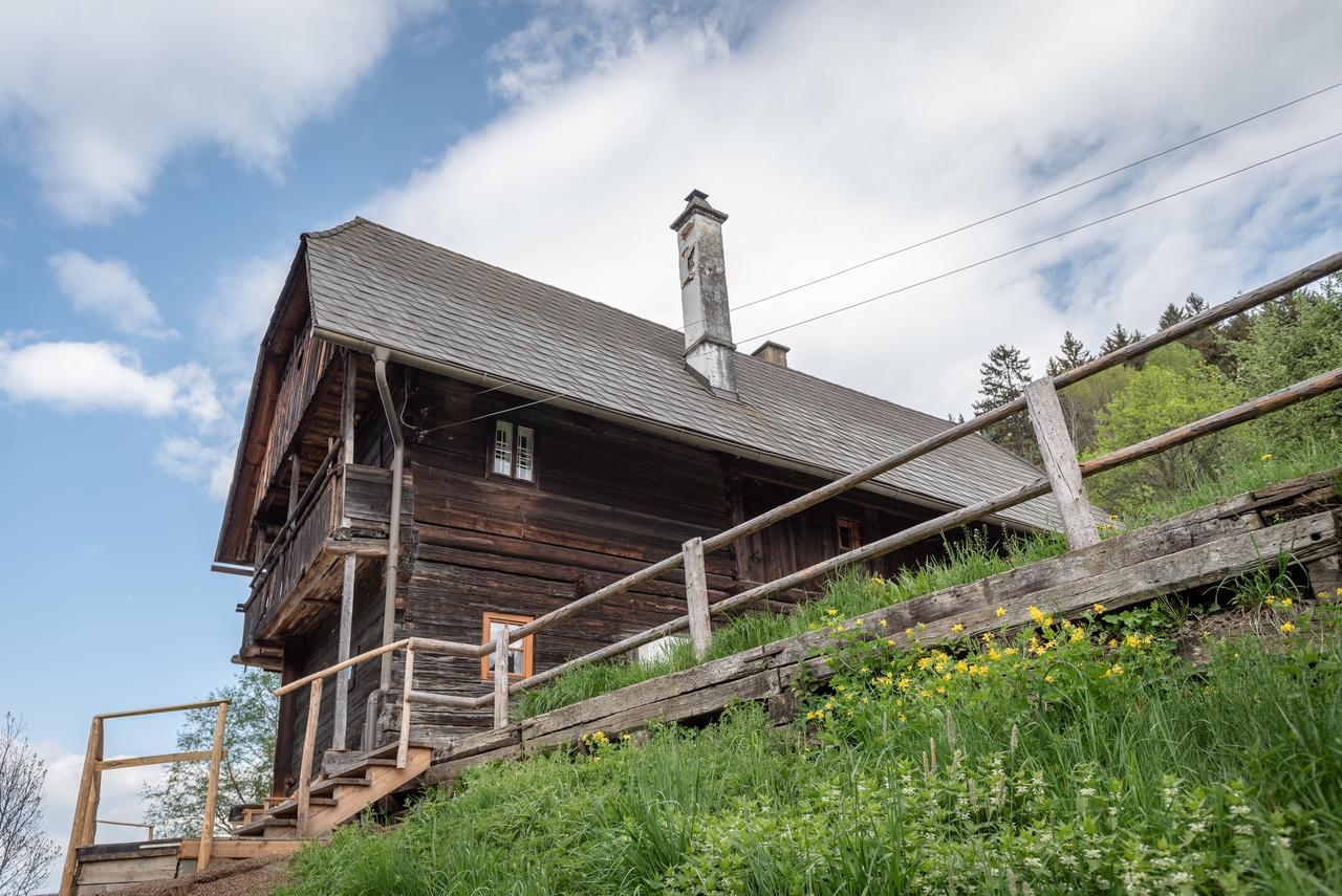 Urlaub Auf Der Alm "Deluxe" Villa Preggraben Eksteriør bilde