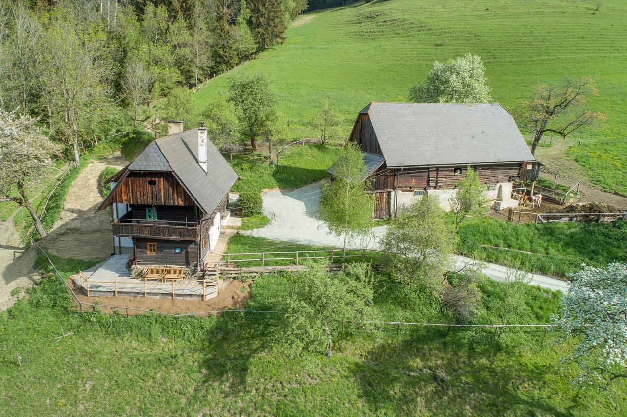 Urlaub Auf Der Alm "Deluxe" Villa Preggraben Eksteriør bilde