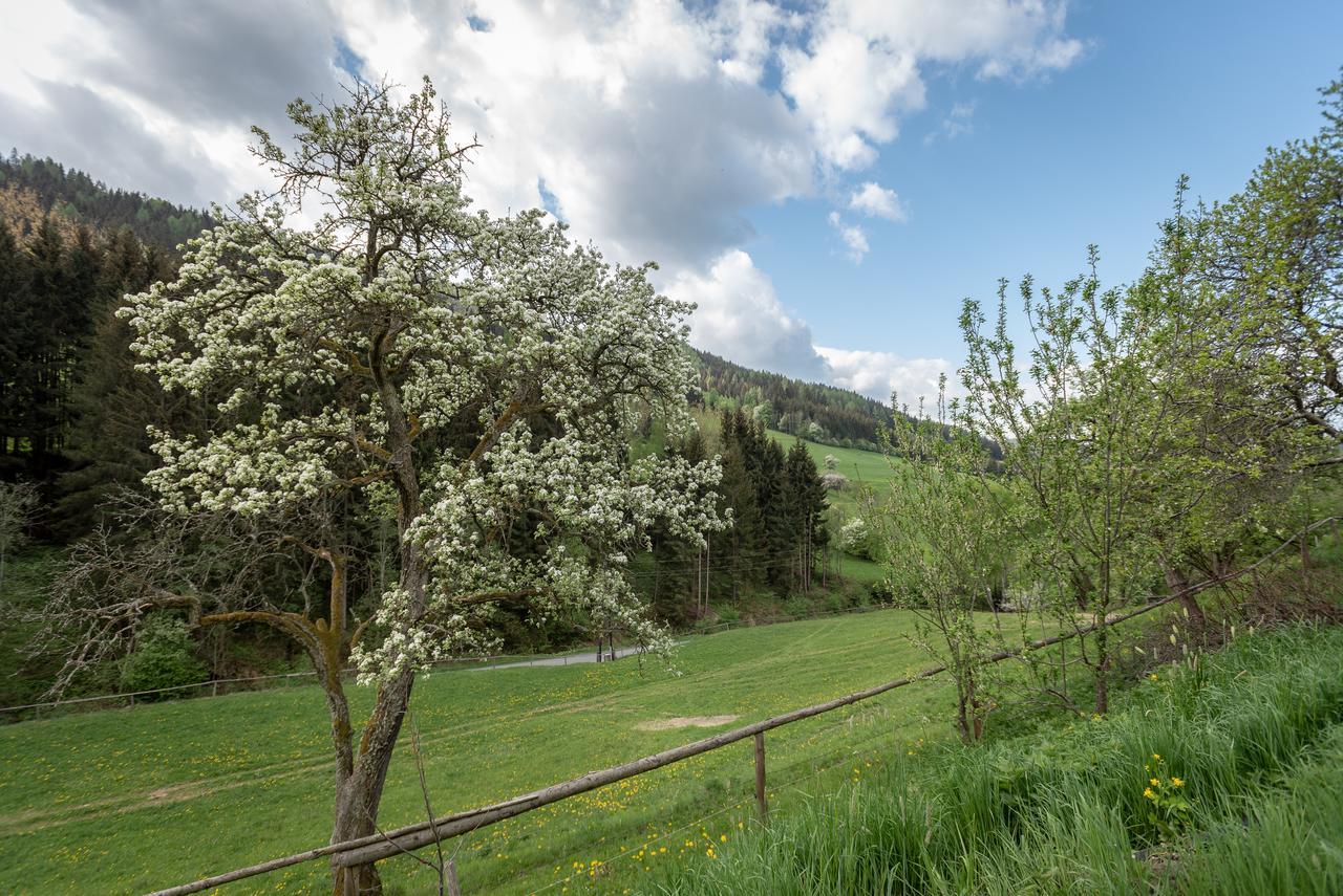 Urlaub Auf Der Alm "Deluxe" Villa Preggraben Eksteriør bilde