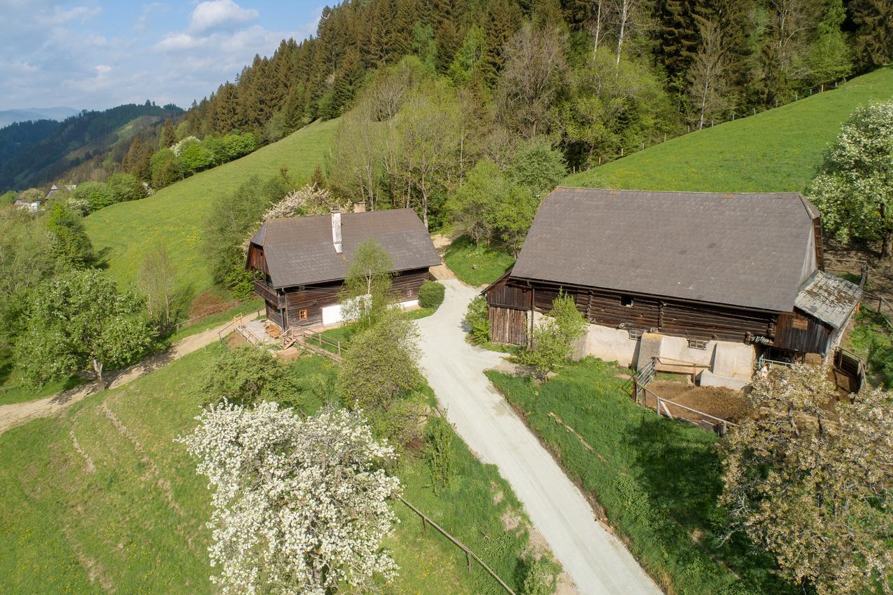 Urlaub Auf Der Alm "Deluxe" Villa Preggraben Eksteriør bilde